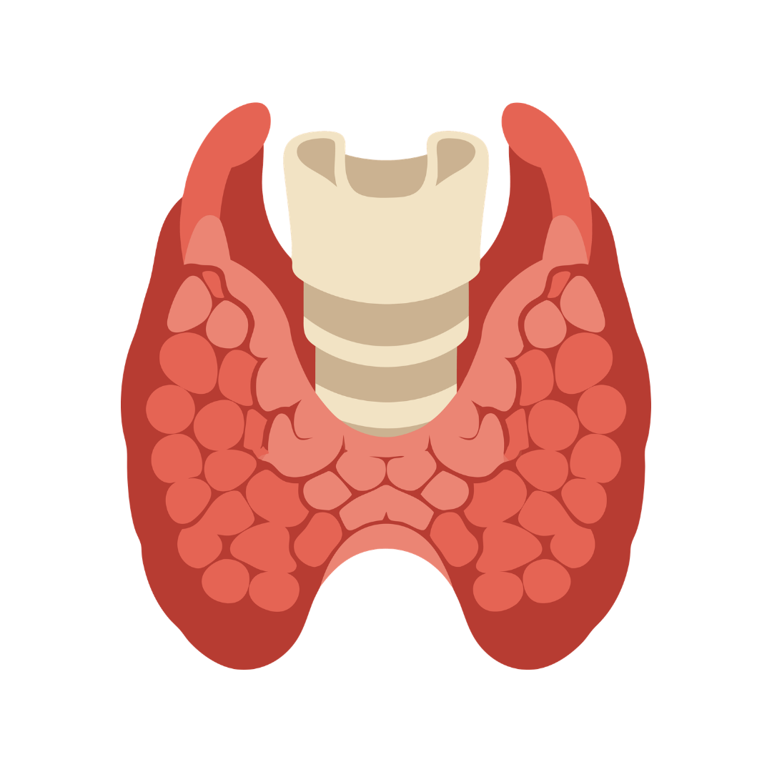 Endocrine