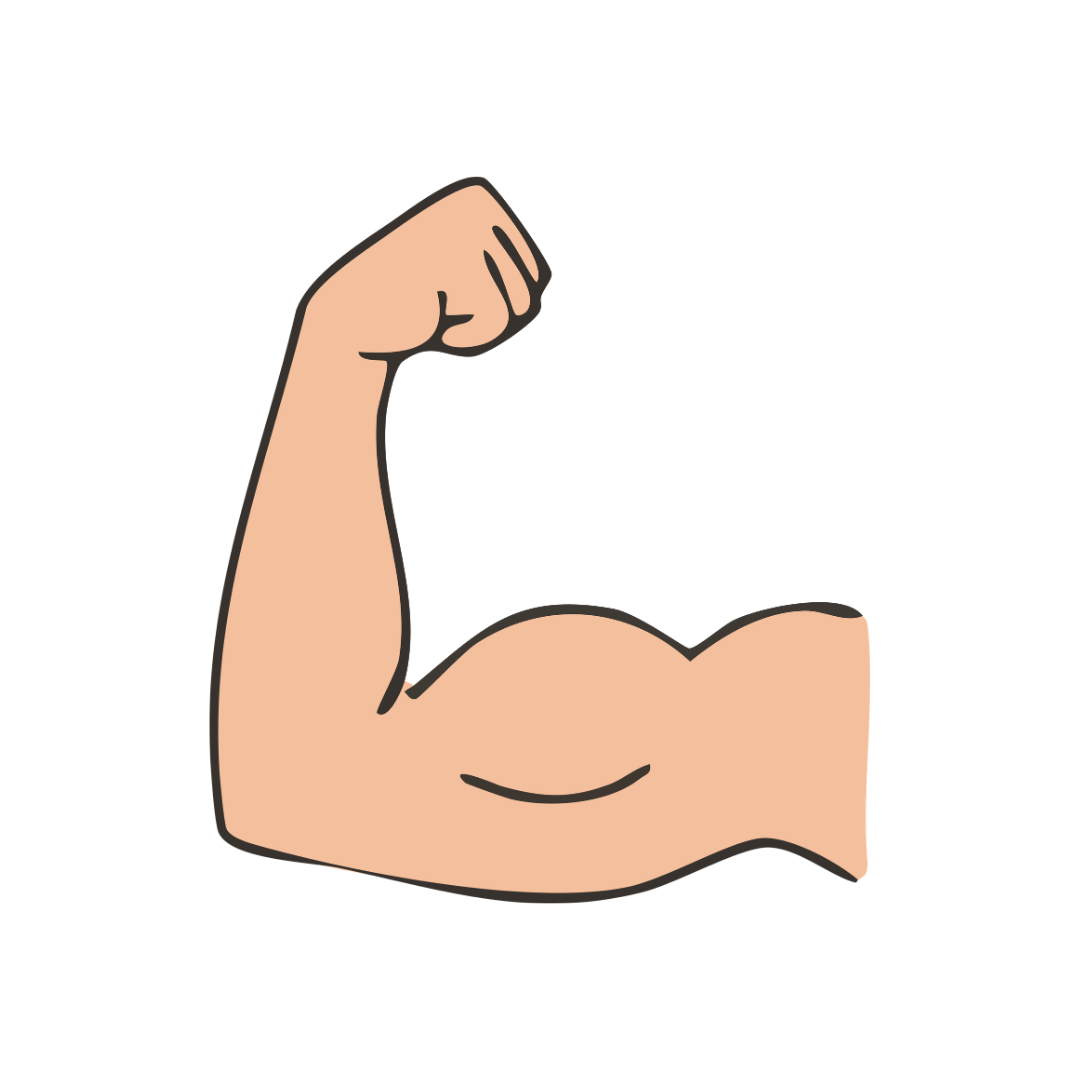 Muscular