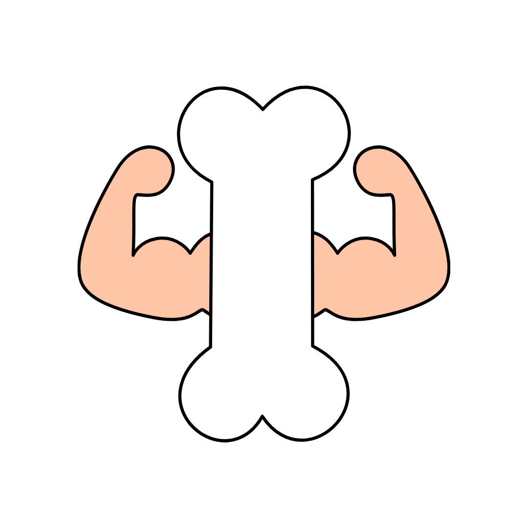 Skeletal