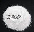 TMG powder Trimethylglycine  Betaine Anhydrous 200g