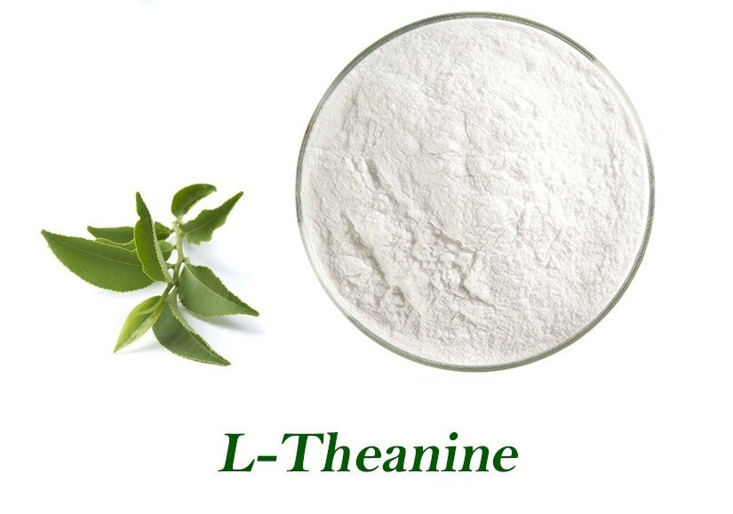 L-Theanine 500g Pure Powder relaxation recovery pre workout